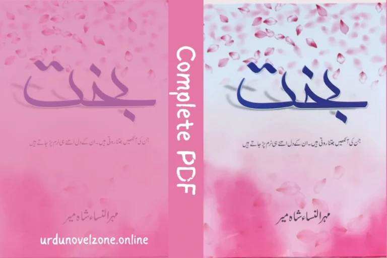 Bakht by Mehrunnisa Shahmeer