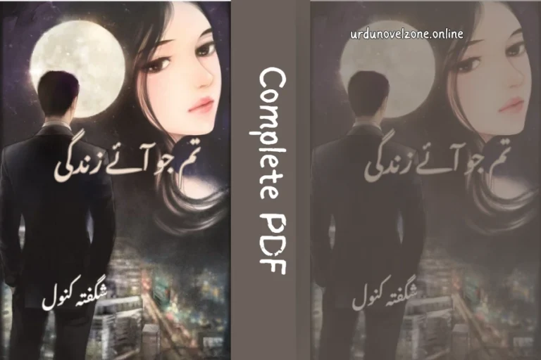 Tum Jo Aye Zindagi Main novel
