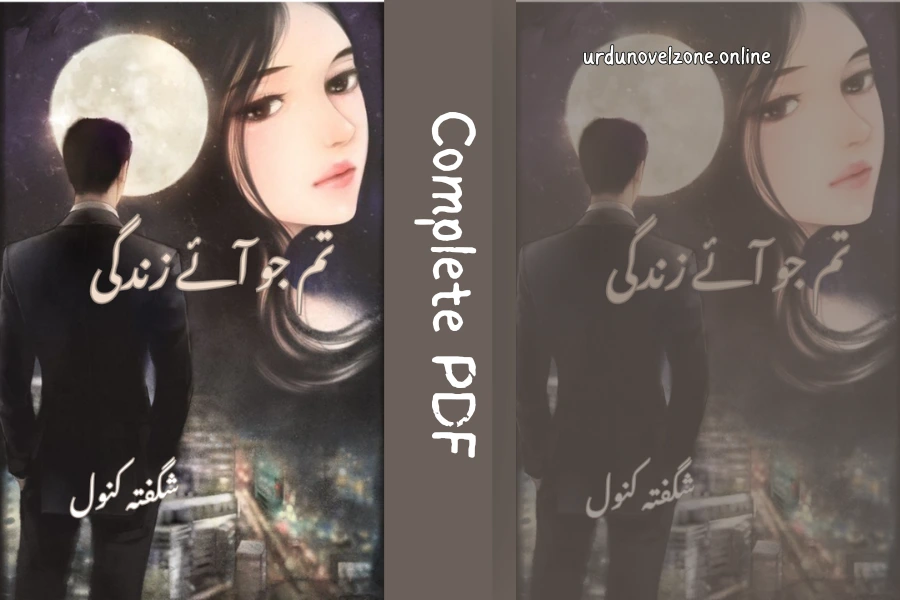 Tum Jo Aye Zindagi Main Novel PDF